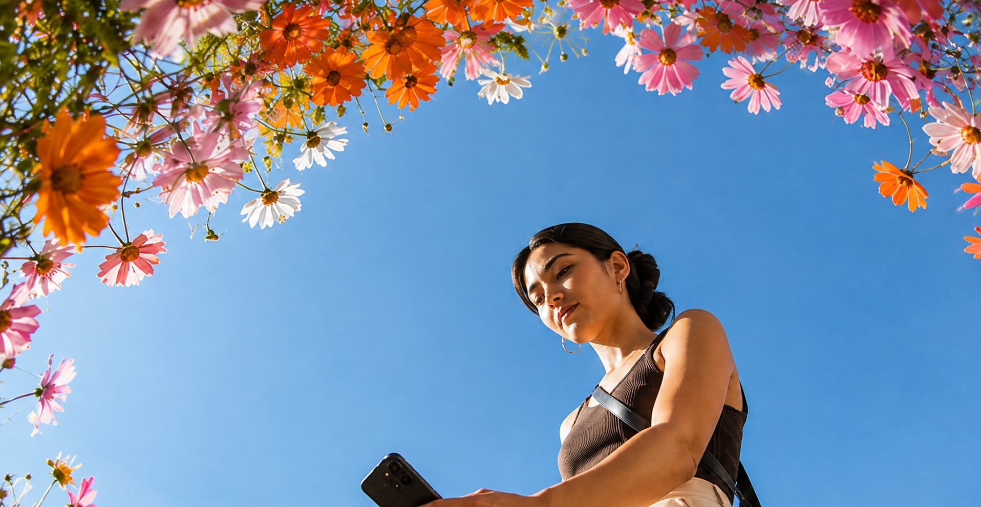 A woman looking at her phone beneath a canopy of flowers against a blue sky
